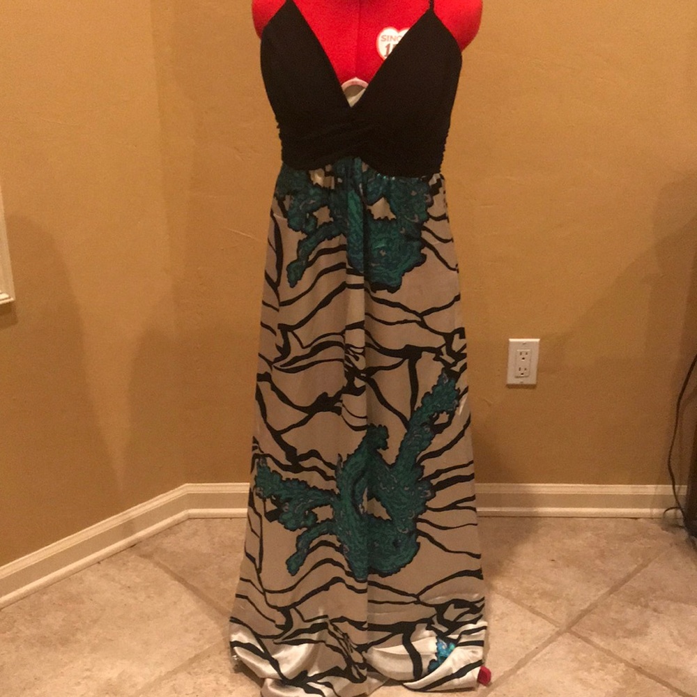 NWT, Intrigue maxi dress